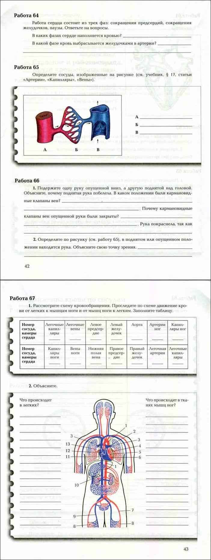 Биология 8 класс драгомилов практическая