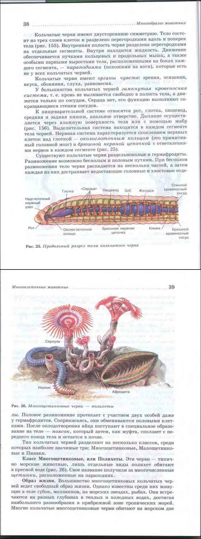 Биология 8 класс латюшин